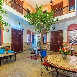 ריאד Riad Todra